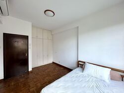 Astor Green (D21), Condominium #572930491